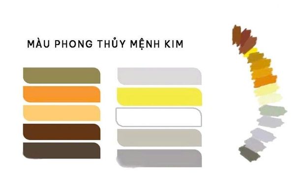các màu ví mệnh kim nên mua