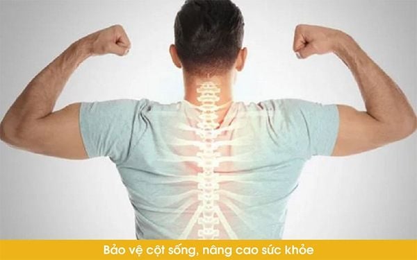 Cấu trúc đệm lưng ergonomic của balo chống gù