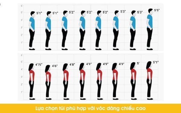 Chọn túi theo vóc dáng và chiều cao