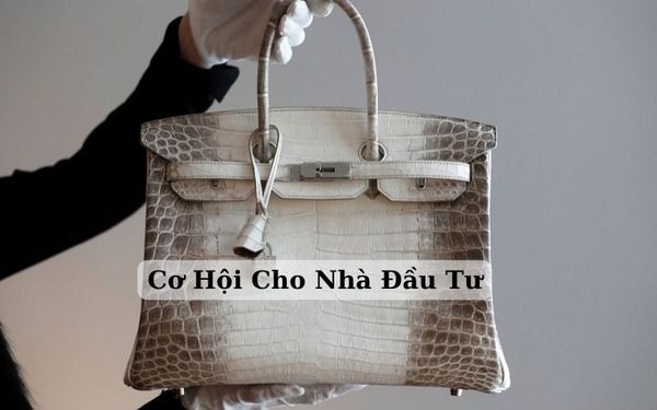 Cơ Hội Cho Nhà Đầu Tư