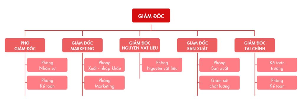 Cơ cấu tổ chức Công ty Cổ Phần May Natoli