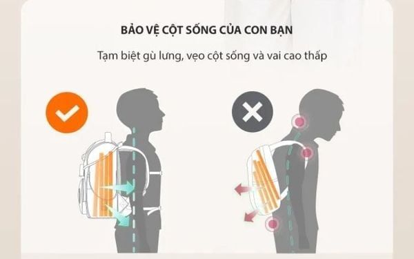 Hệ thống đệm lưng và công nghệ hỗ trợ cột sống
