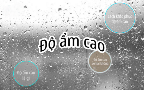 Độ ẩm là yếu tố quan trọng