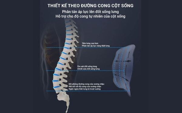 đệm lưng hình chữ u/s ôm theo đường cong tự nhiên của cột sống