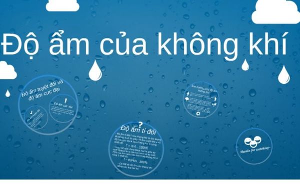 loi-ich-trong-dieu-kien-khi-hau-nong-am
