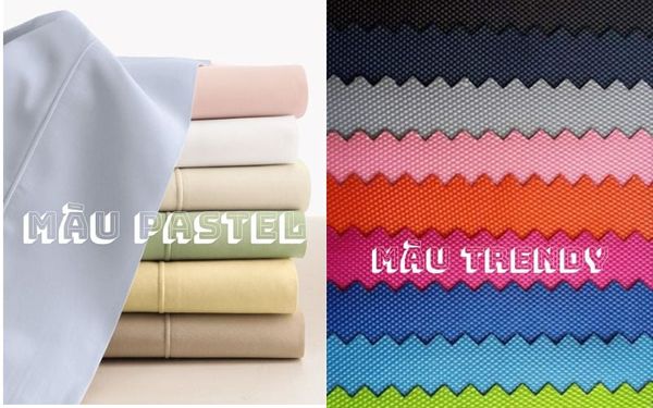 Nhóm Màu Pastel và Trendy (15% thị phần)