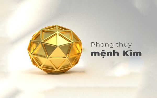 nữ mệnh kim dùng ví gì