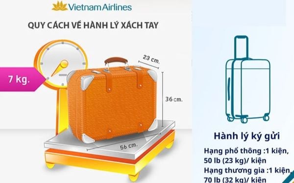 Pacific Airlines & Các Hãng Khác