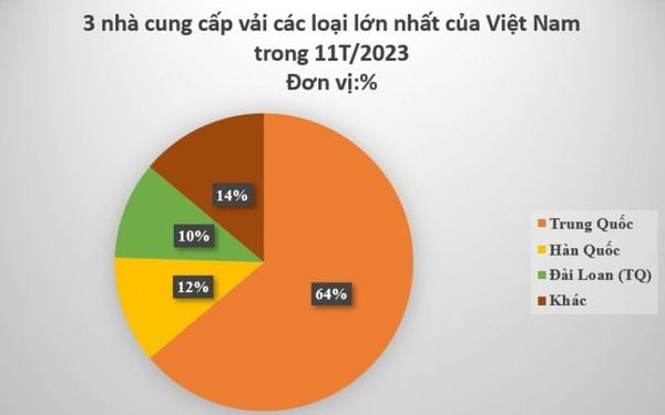 Quy Mô và Đặc Điểm Thị Trường