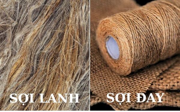 soi-day-vs-soi-lanh