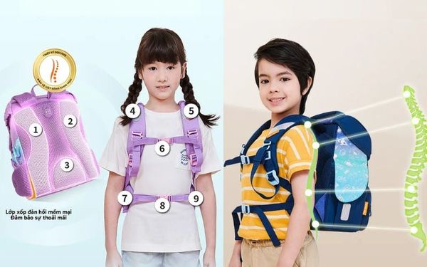 Thiết Kế Ergonomic: Quai Không Gây Đau Vai