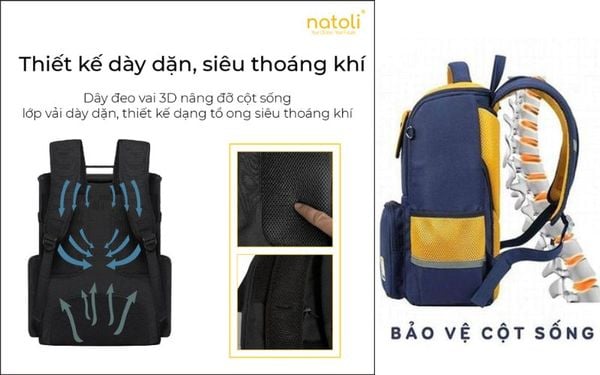 Thiết Kế Ergonomic Bảo Vệ Sức Khỏe