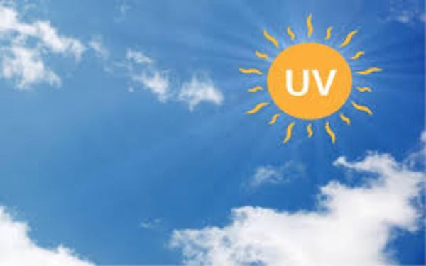 Tránh Ánh Nắng Trực Tiếp