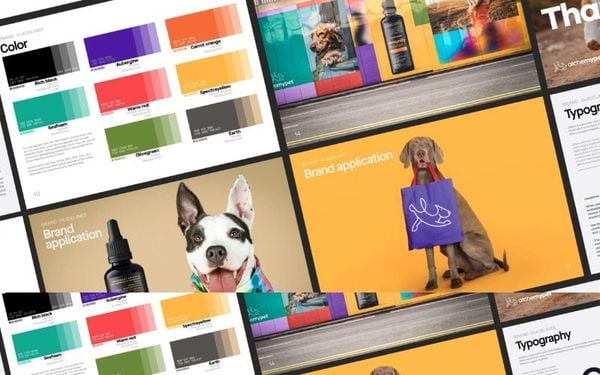 typography-dam-chat-personality