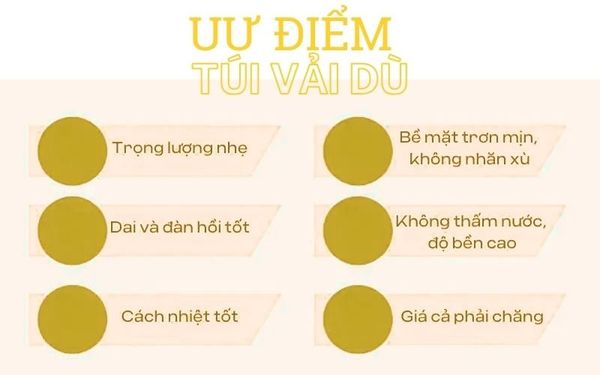Tại Sao Túi Vải Dù Được Ưa Chuộng?