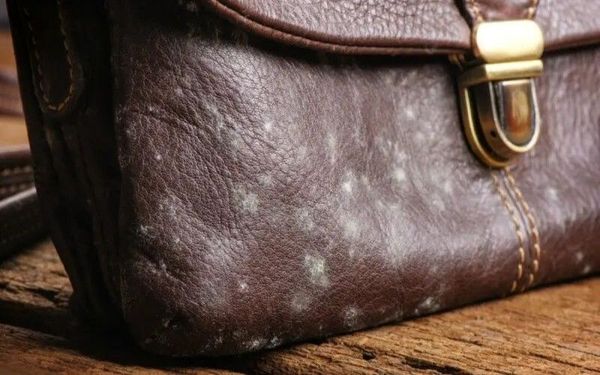 Vết bẩn cứng đầu