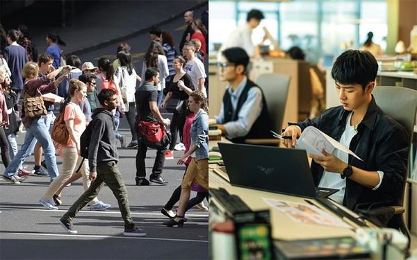 ví cầm tay đựng điện thoại cho người làm văn phòng