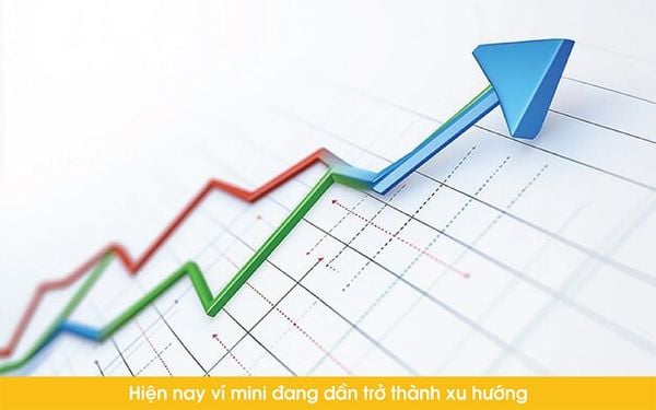 ví mini đã trở thành một xu hướng