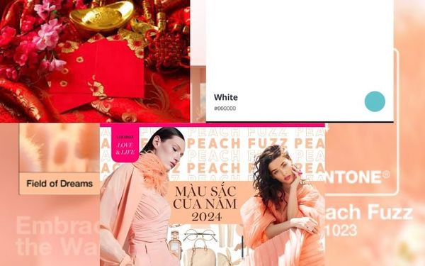 Những Yếu Tố Ảnh Hưởng Đến Lựa Chọn Màu Sắc