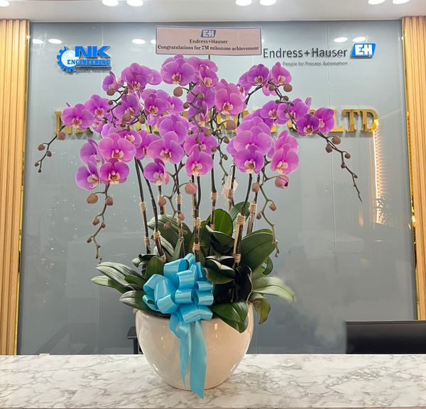 Endress+Hauser tặng hoa NK Engineering (2)