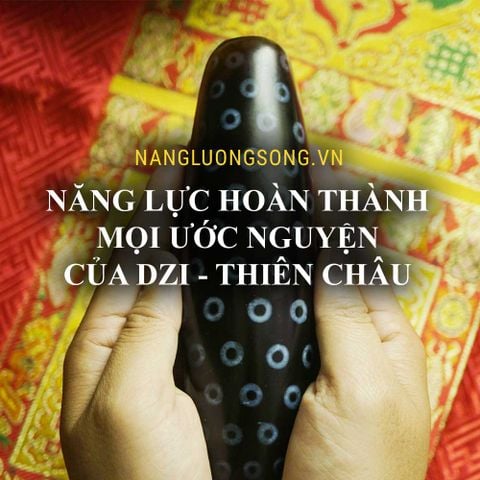 Giải mã Bí Mật về năng lực hoàn thành mọi ước nguyện của Dzi