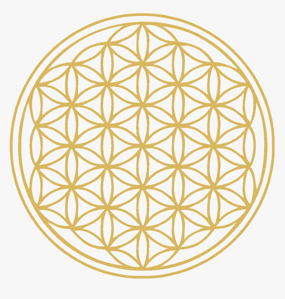 bông hoa sự sống flower of life nangluongsong.vn