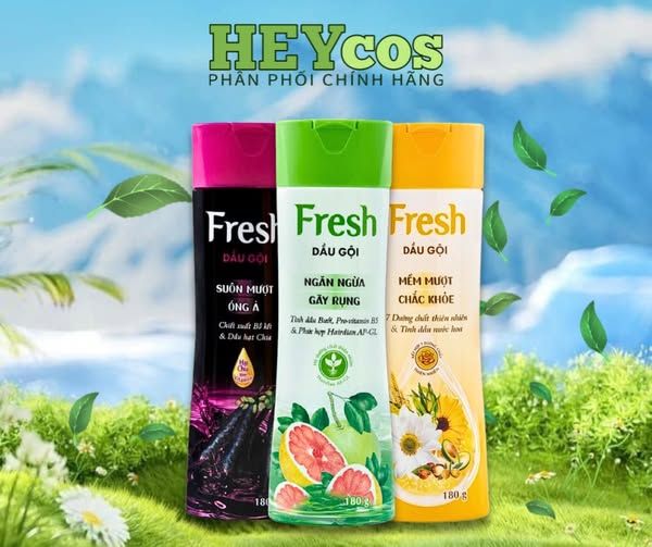 Fresh – Bí quyết chăm sóc tóc chuẩn salon ngay tại nhà 🌿✨
