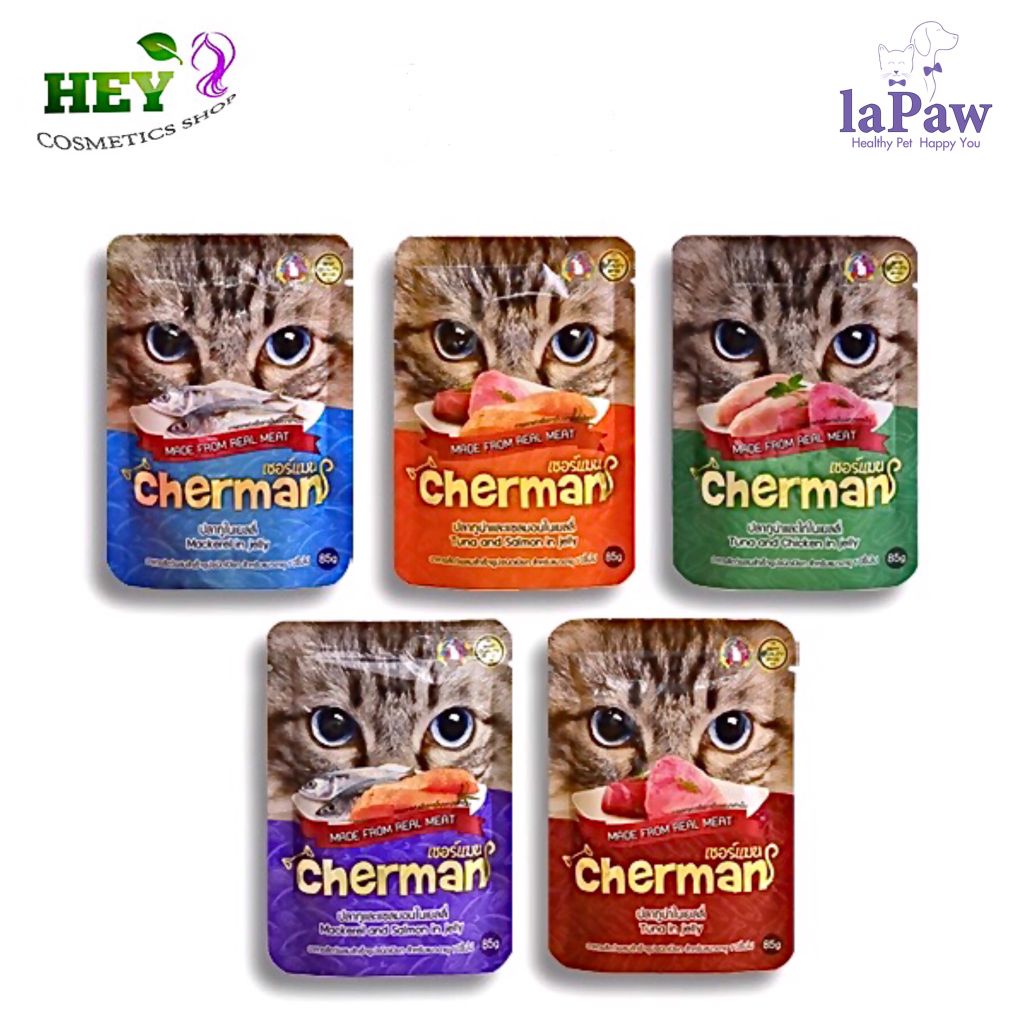 Pate cho mèo là gì? Nên cho mèo ăn Pate như nào để đảm bảo sức khoẻ?