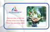 Thủ tục cần có để xin chứng nhận hoạt động khoa học và công nghệ