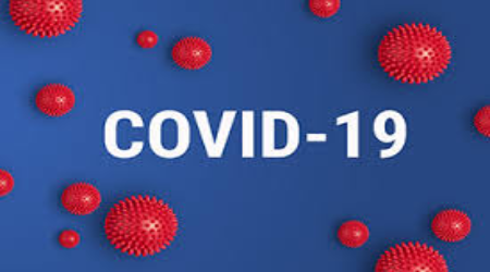 Hướng dẫn doanh nghiệp nộp hồ sơ online để hưởng trợ cấp do COVID-19
