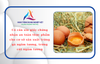 Có cần xin giấy chứng nhận an toàn thực phẩm cho cơ sở sản xuất trứng gà ngâm tương, trứng cút ngâm tương
