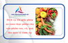 Dịch vụ xin giấy phép an toàn thực phẩm cho sản phẩm rau, củ, quả lên men và nước ép