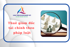 Cho thuê Giám đốc tài chính