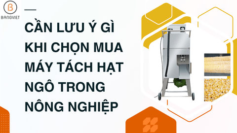 Cần lưu ý gì khi chọn mua máy tách hạt ngô trong nông nghiệp