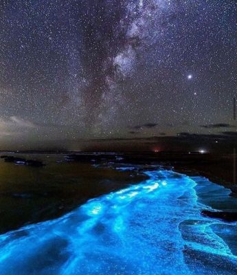Bãi biển Úc rực sáng về đêm