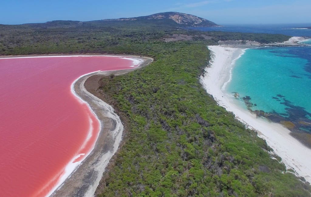 Mê mệt hồ nước màu sinh tố dâu tây lạ thường ở Úc