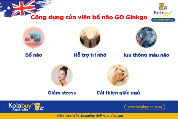 Viên uống bổ não GO Healthy Ginkgo 9000+ 60 viên