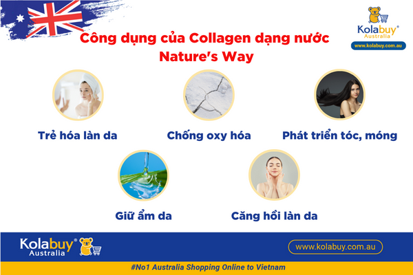 Nature's Way Collagen Liquid