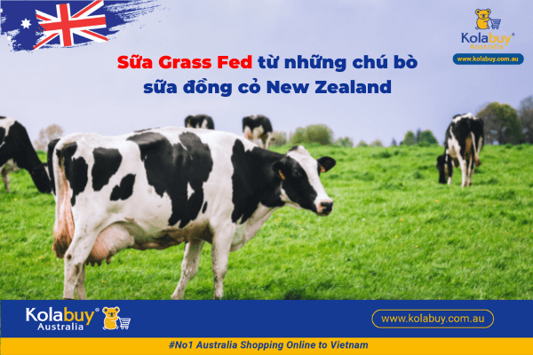 sữa Grass Fed số 1
