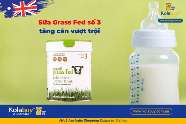 Sữa Munchkin Grass Fed số 3