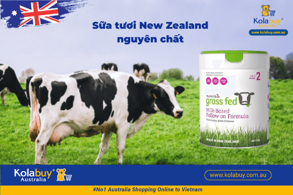 sữa Grass Fed số 2