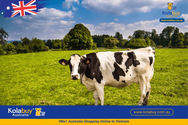 canxi-sua-healthy-care-milk-calcium