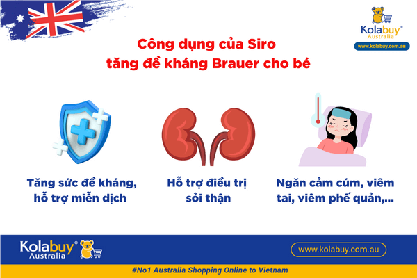 2-siro-tang-de-khang-brauer