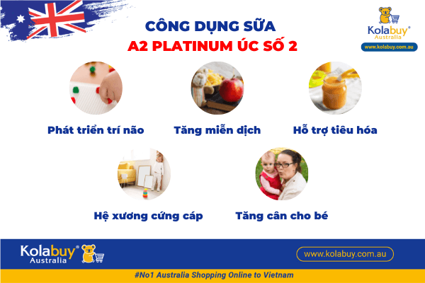 15-sua-A2-platium-so2