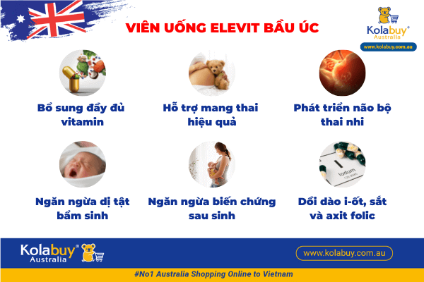 Elevit bầu