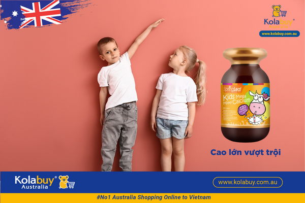 Viên nhai bổ sung canxi cho bé Spring Leaf Premium Kids Mega Milky Calcium 120 viên