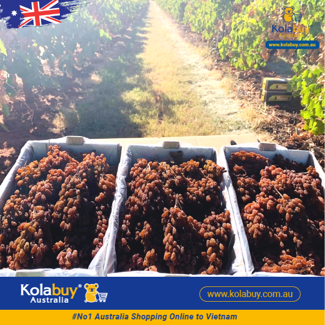 Nho khô nguyên cành Thompson