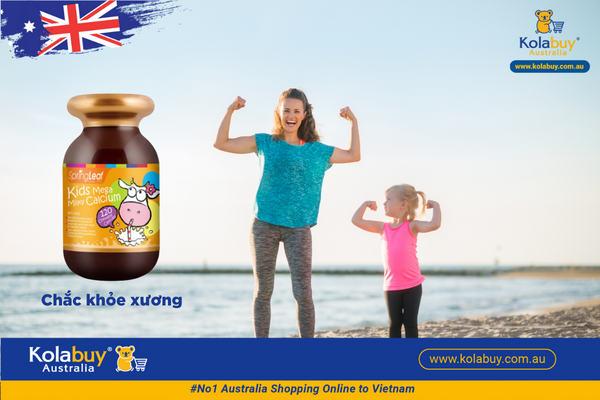 Viên nhai bổ sung canxi cho bé Spring Leaf Premium Kids Mega Milky Calcium 120 viên