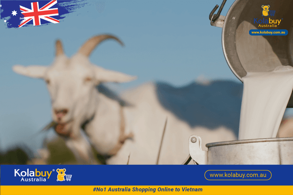 kẹo sữa dê healthy care goat milk