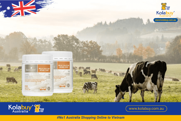 canxi-bio-island-milk-calcium-bone-care-150-viên